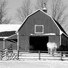 Preparing Your Horse  & Barn for the Winter