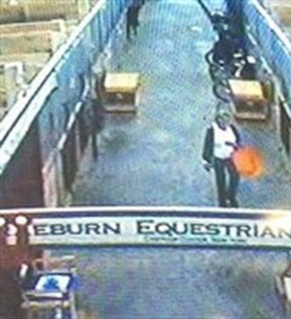 State police still looking for woman who stole saddles at NYS...