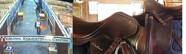 State police still looking for woman who stole saddles at NYS Fairgrounds horse show