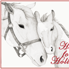 The Haven at Skanda Kicks Off its Horses for the Holidays Program with A Growing Network of Community Caring to Prevent Animal Suffering