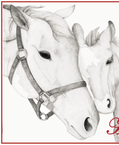 The Haven at Skanda Kicks Off its Horses for the Holidays Program with...