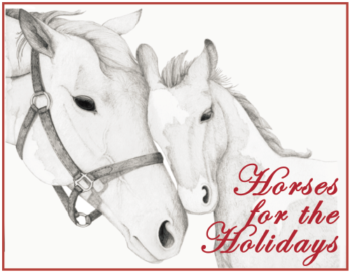 The Haven at Skanda Kicks Off its Horses for the Holidays Program with...